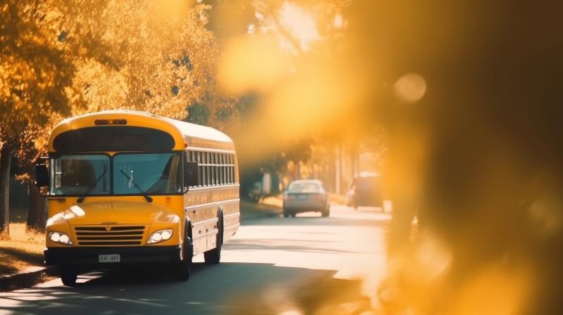Curso para Motorista Escolar: Como Garantir Segurança e Qualidade no Transporte de Crianças Curso para Motorista Escolar: Como Garantir Segurança e Qualidade no Transporte de Crianças