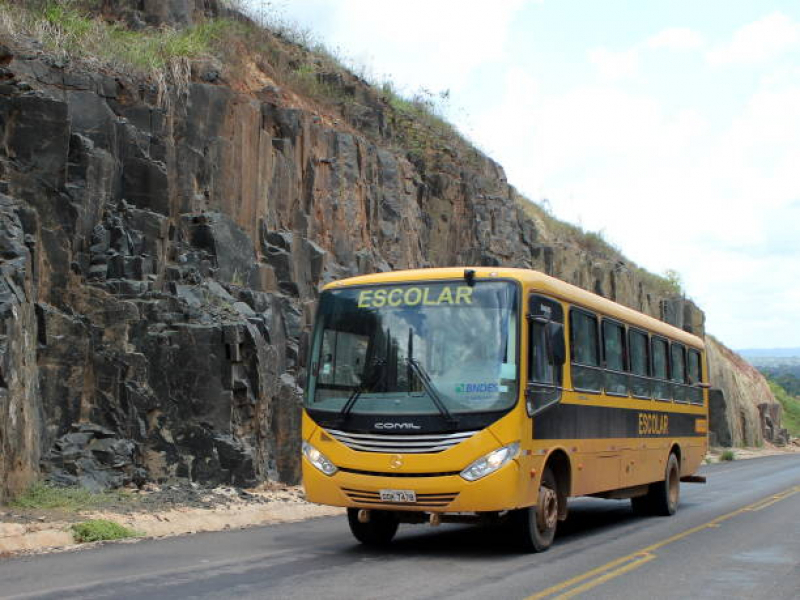 Qual o Valor de Curso de Monitor de Transporte Escolar Vila Rica - Curso para Dirigir Van Escolar